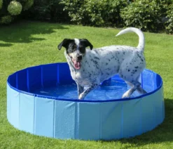 dobar® petlife Hundepool, blau, ca. Ø120/H30 cm