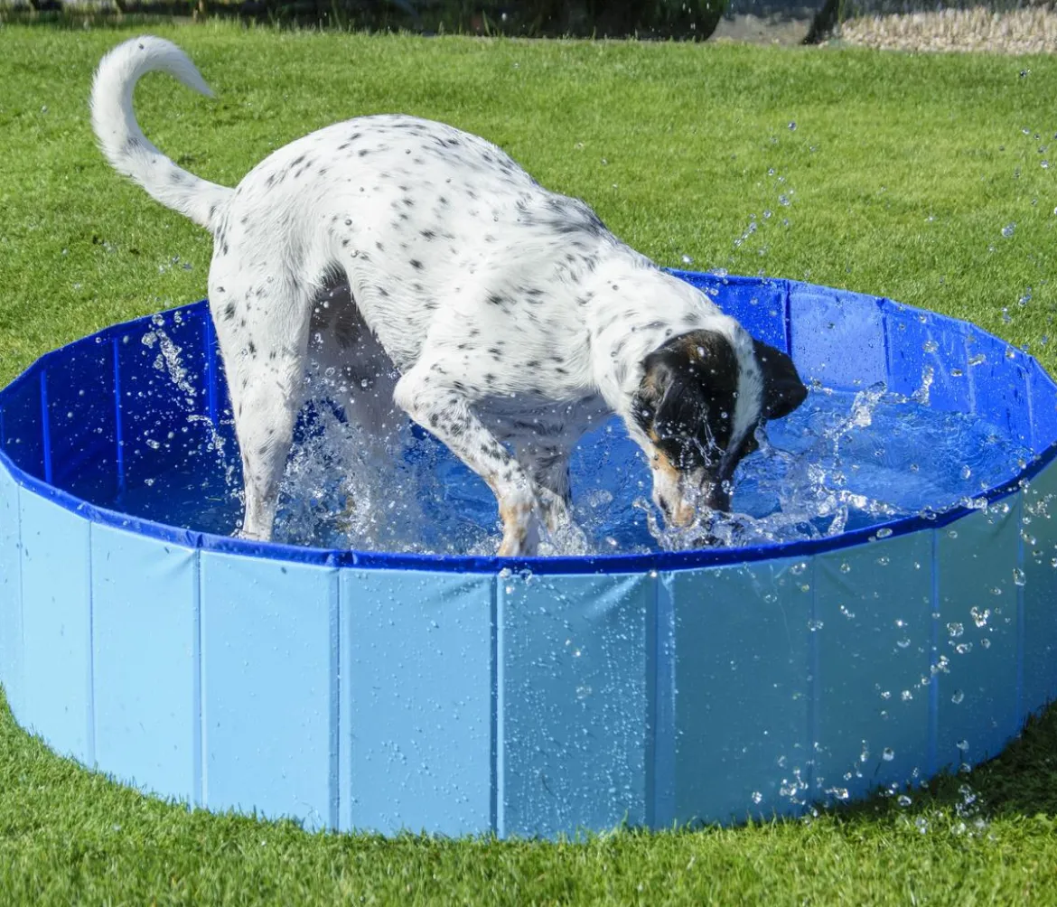 dobar® petlife Hundepool, blau, ca. Ø120/H30 cm