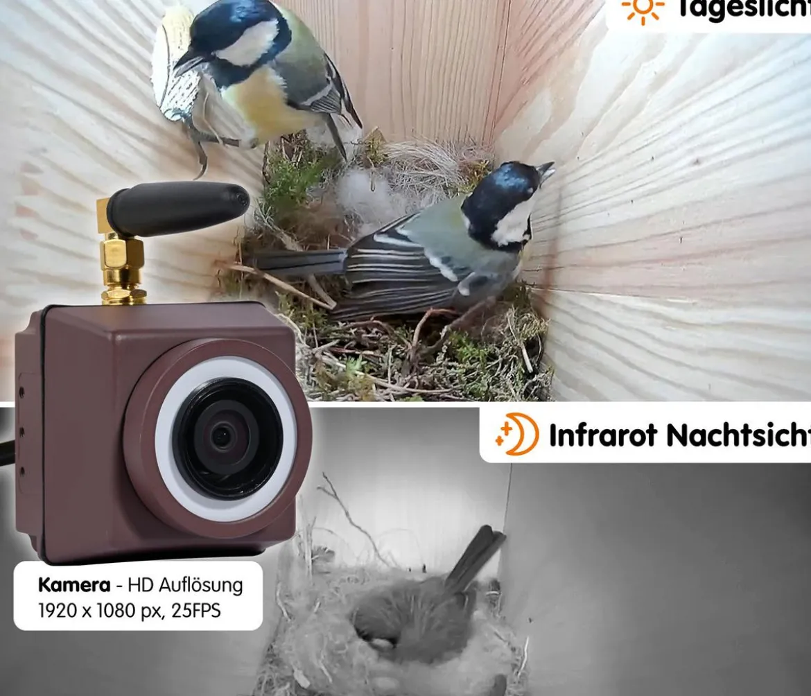 dobar® wildlife Nistkasten Karsten, inkl. Kamera, ca. B22,5/H53/T25,5 cm