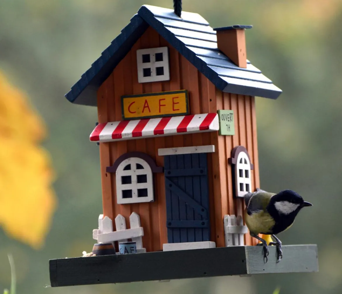 dobar® wildlife Vogelhaus Café, Kiefer, orange/blau, ca. B18/H23/T18 cm
