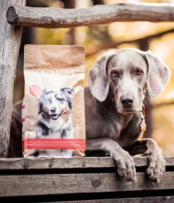 DOG'S LOVE Trockenfutter für Hunde Adult