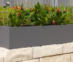 Eastwest Fiberglas-Blumenkasten Supremo, rechteckig