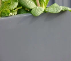 Eastwest Fiberglas-Pflanzkübel, quadratisch