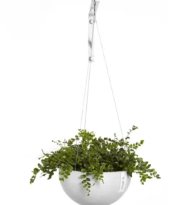 Ecopots Kunststoff-Ampel Brussels mit Wassersystem, rund
