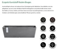 Ecopots Kunststoff-Kasten Bruges mit Wassersystem, rechteckig
