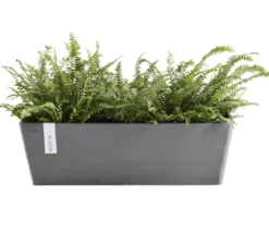 Ecopots Kunststoff-Kasten Bruges mit Wassersystem, rechteckig