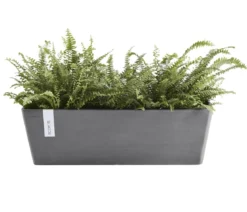 Ecopots Kunststoff-Kasten Bruges mit Wassersystem, rechteckig