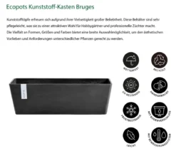 Ecopots Kunststoff-Kasten Bruges mit Wassersystem, rechteckig