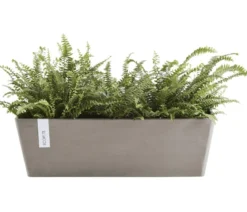 Ecopots Kunststoff-Kasten Bruges mit Wassersystem, rechteckig