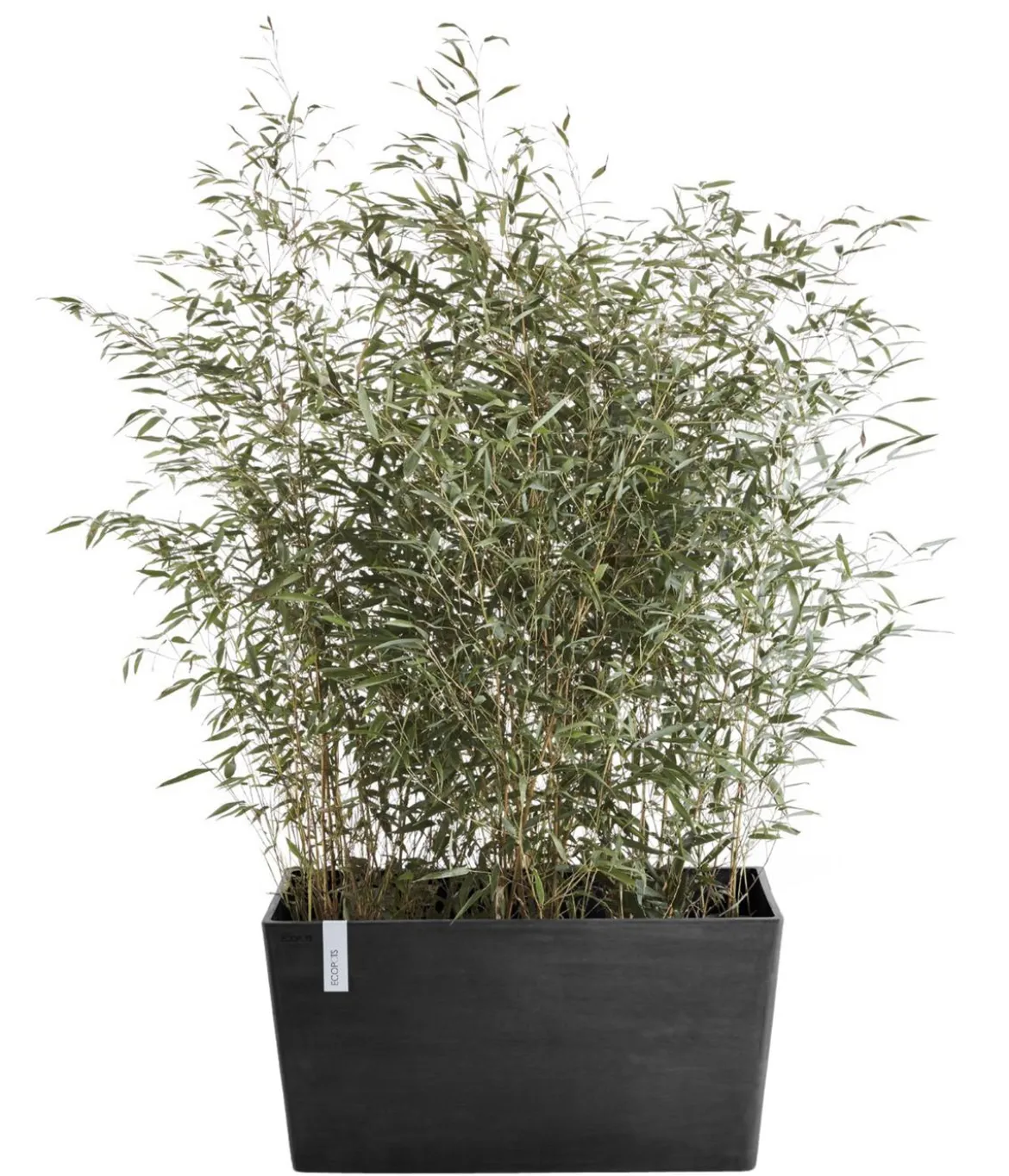 Ecopots Kunststoff-Kasten Paris, rechteckig