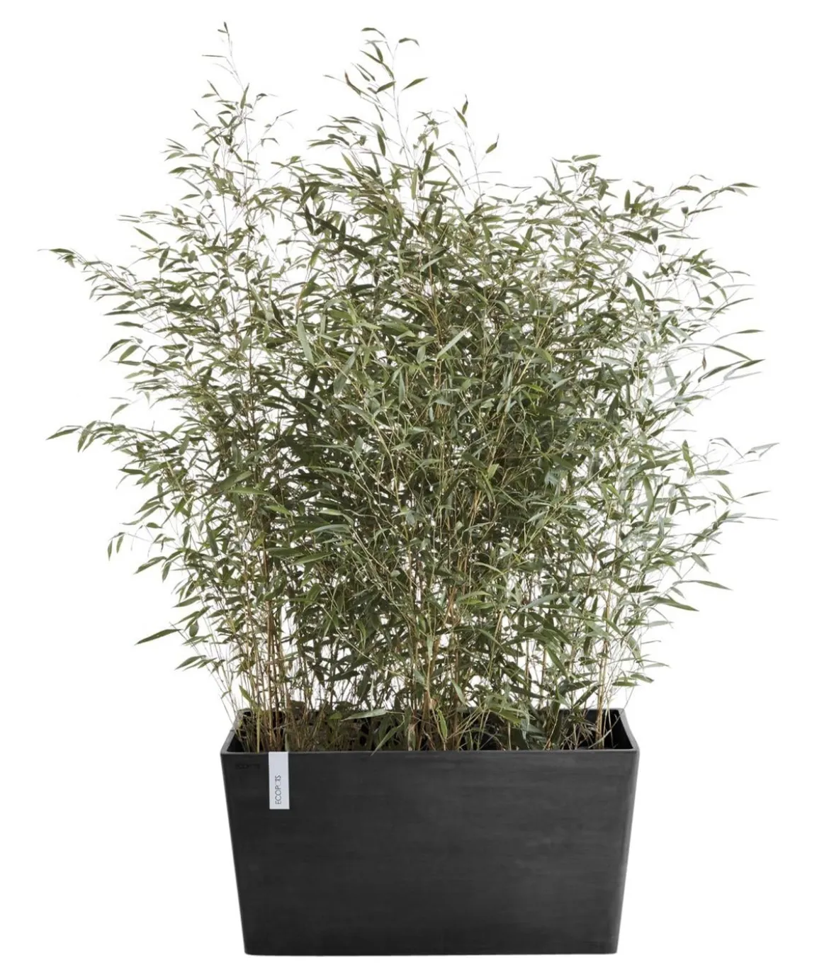 Ecopots Kunststoff-Kasten Paris, rechteckig