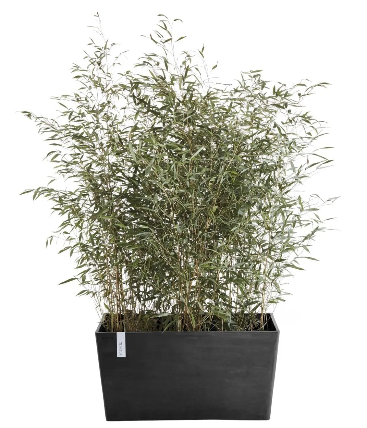 Ecopots Kunststoff-Kasten Paris, rechteckig