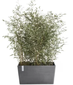 Ecopots Kunststoff-Kasten Paris, rechteckig