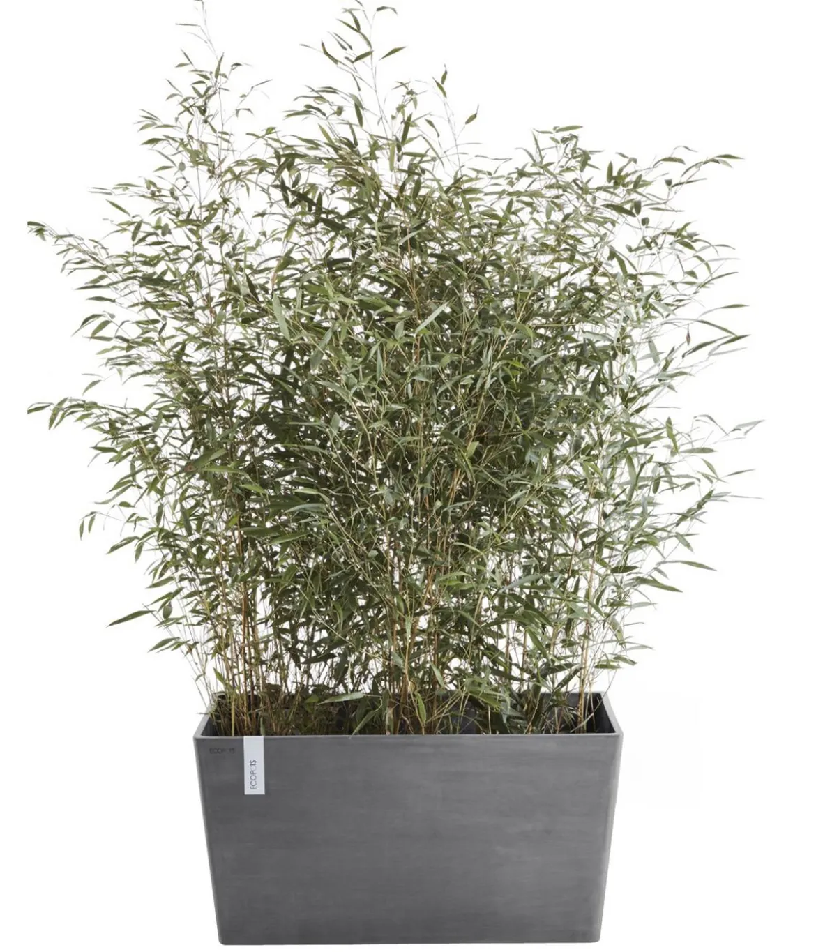 Ecopots Kunststoff-Kasten Paris, rechteckig