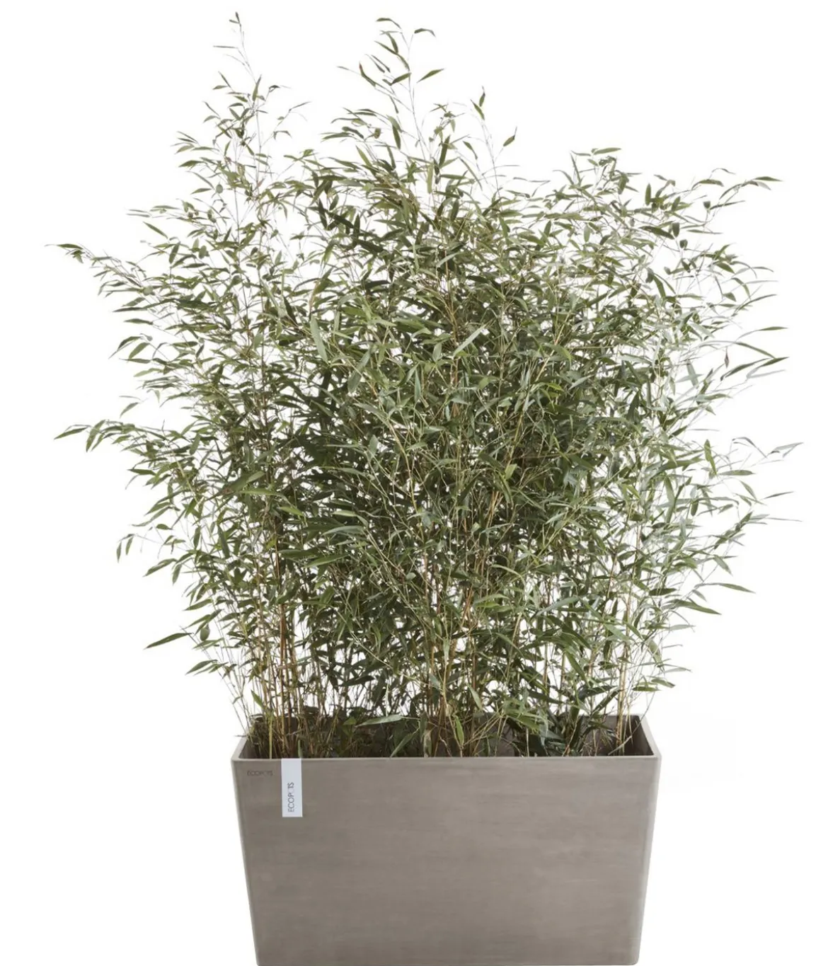 Ecopots Kunststoff-Kasten Paris, rechteckig