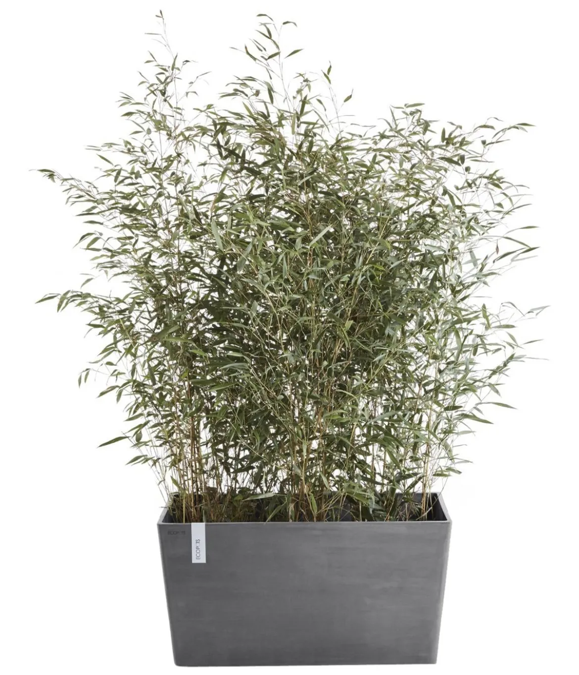 Ecopots Kunststoff-Kasten Paris, rechteckig