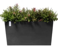 Ecopots Kunststoff-Kasten Paris mit Rollen, rechteckig