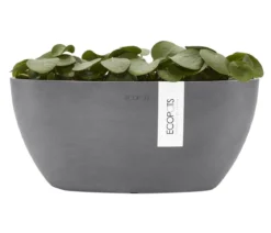 Ecopots Kunststoff-Schale Sofia mit Wassersystem, oval