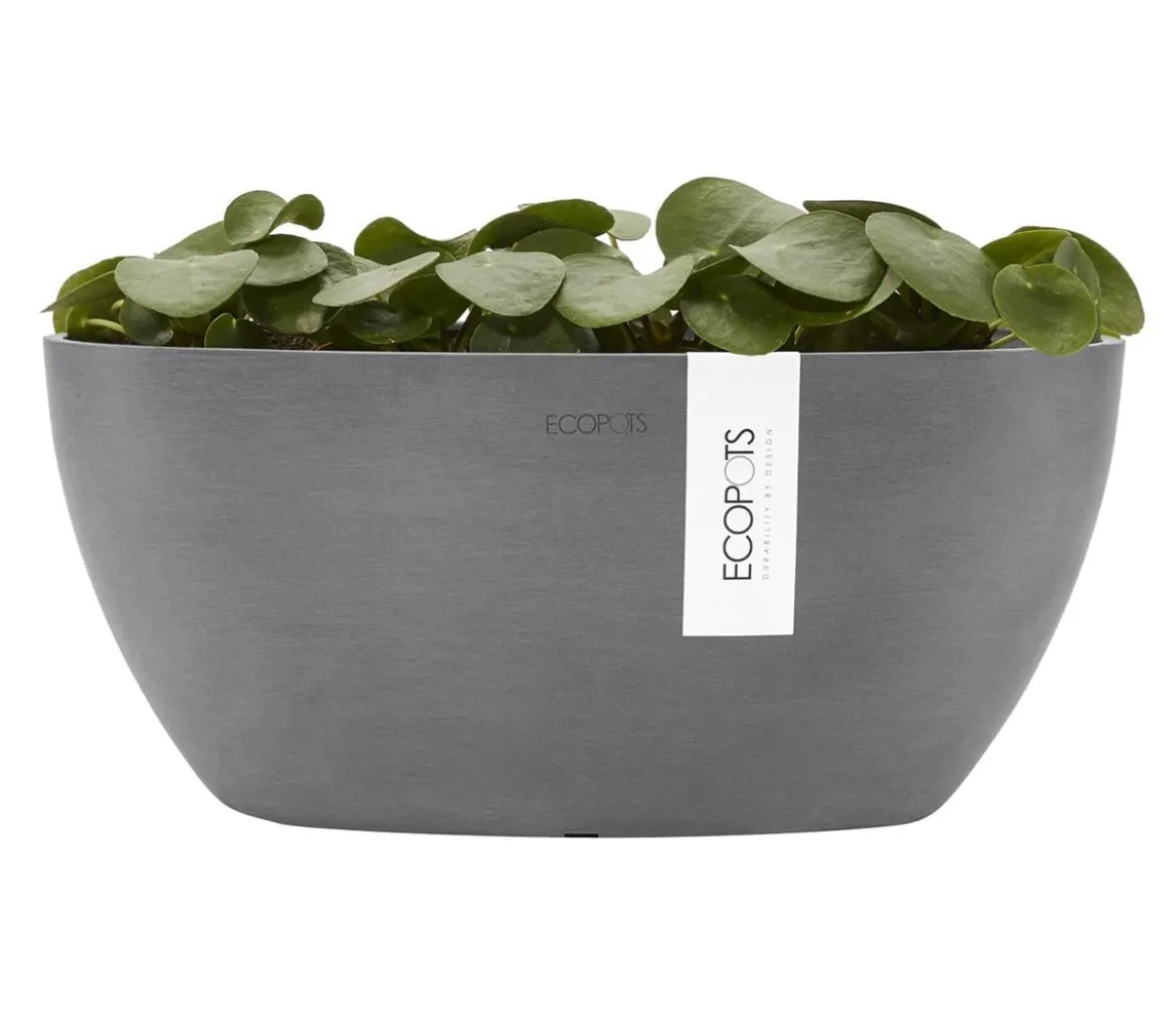 Ecopots Kunststoff-Schale Sofia mit Wassersystem, oval