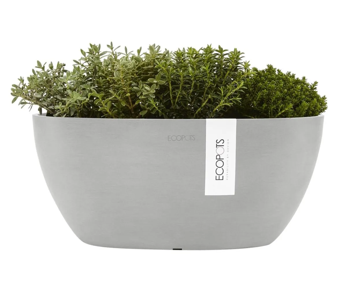Ecopots Kunststoff-Schale Sofia mit Wassersystem, oval