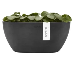 Ecopots Kunststoff-Schale Sofia mit Wassersystem, oval