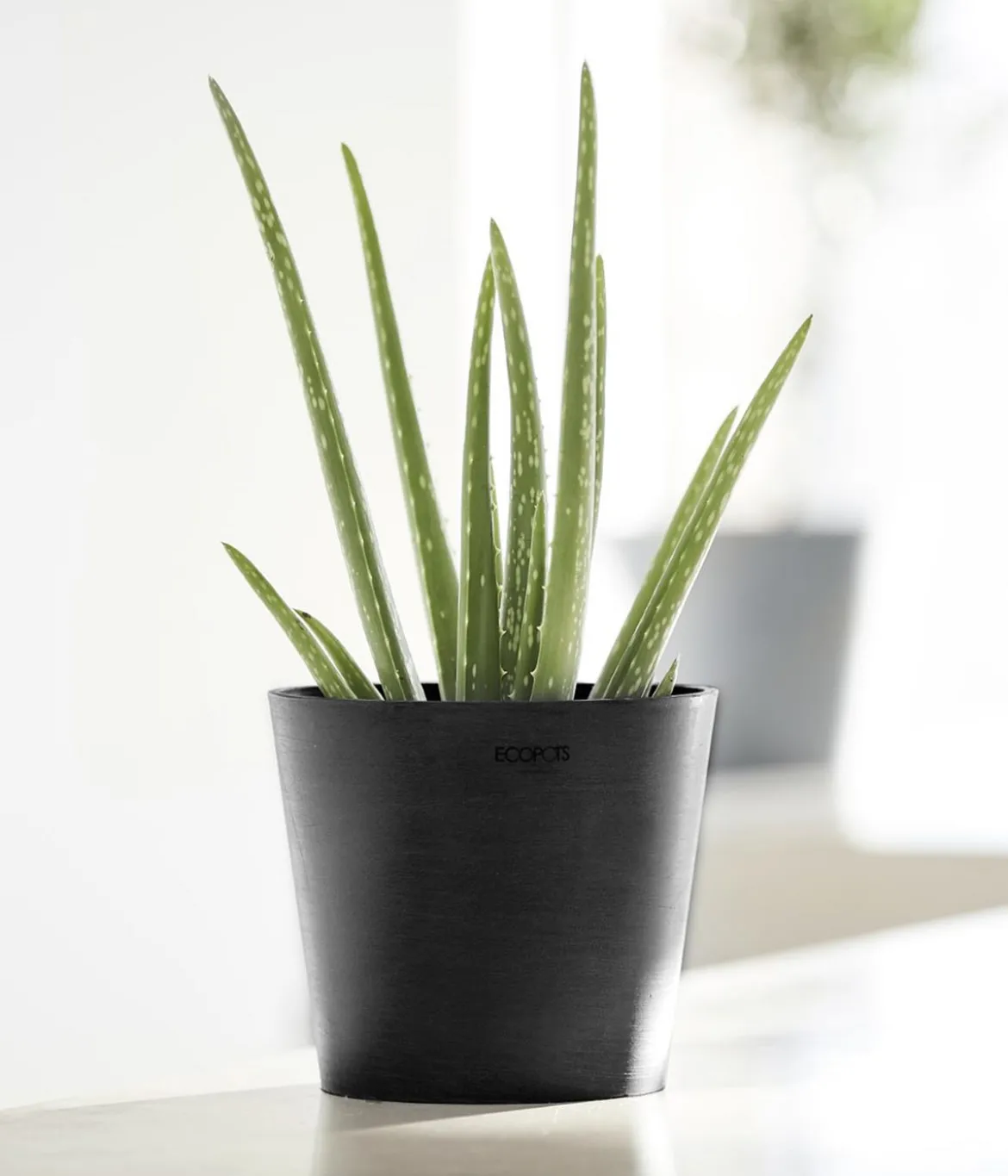 Ecopots Kunststoff-Topf Amsterdam Mini, rund, ca. Ø17/H14,7 cm
