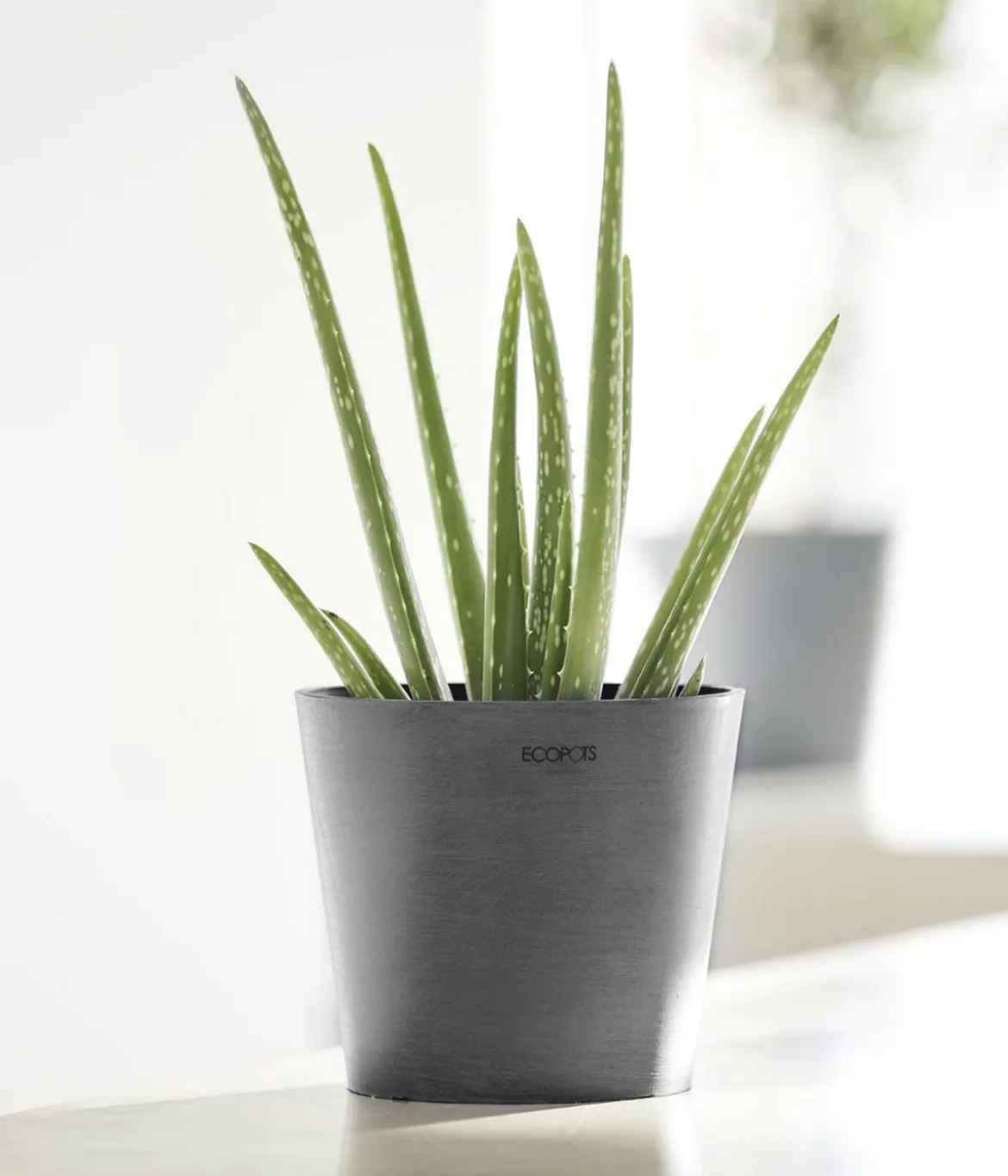 Ecopots Kunststoff-Topf Amsterdam Mini, rund, ca. Ø17/H14,7 cm
