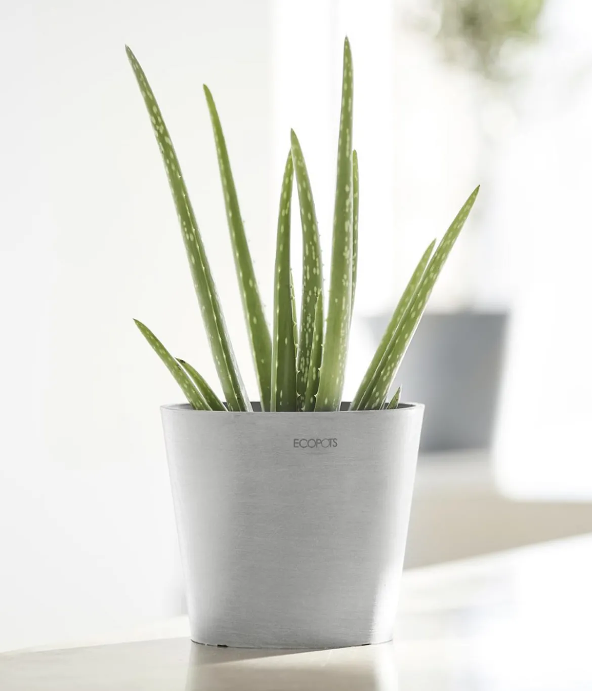 Ecopots Kunststoff-Topf Amsterdam Mini, rund, ca. Ø17/H14,7 cm