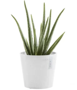 Ecopots Kunststoff-Topf Amsterdam Mini, rund, ca. Ø17/H14,7 cm