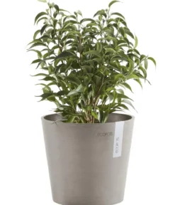 Ecopots Kunststoff-Topf Amsterdam Mini, rund, ca. Ø17/H14,7 cm