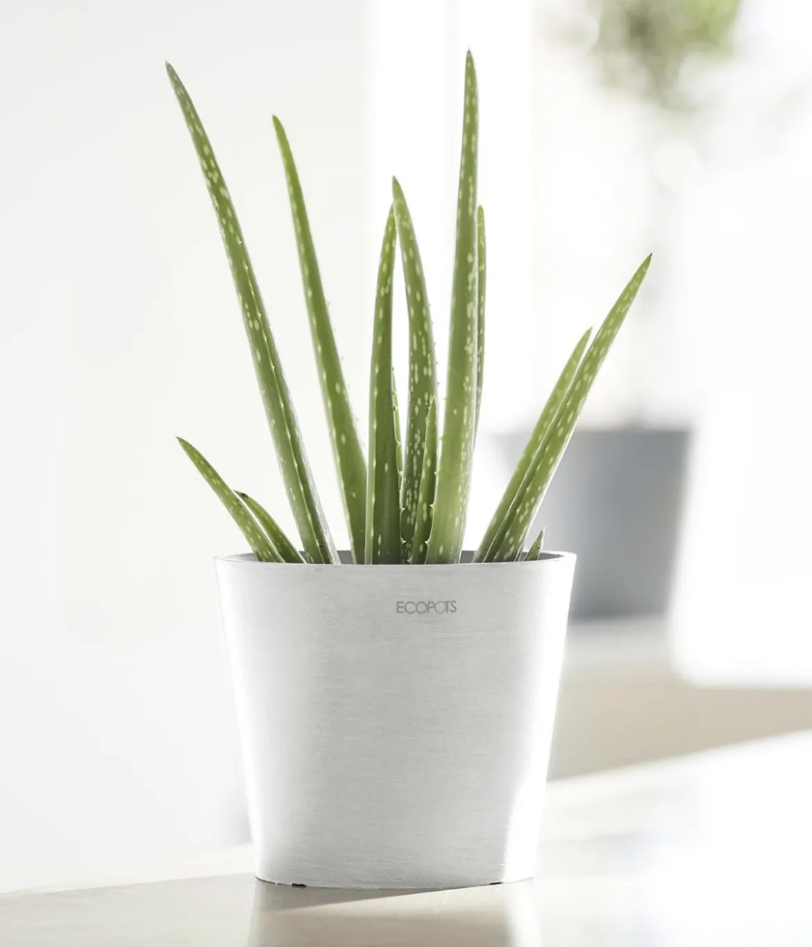 Ecopots Kunststoff-Topf Amsterdam Mini, rund, ca. Ø17/H14,7 cm