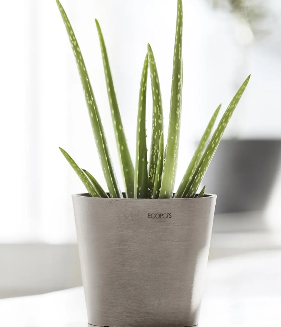Ecopots Kunststoff-Topf Amsterdam Mini, rund, ca. Ø17/H14,7 cm