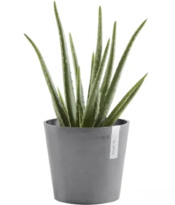 Ecopots Kunststoff-Topf Amsterdam Mini, rund, ca. Ø17/H14,7 cm