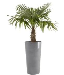 Ecopots Kunststoff-Topf Amsterdam hoch, rund