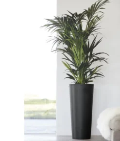 Ecopots Kunststoff-Topf Amsterdam hoch, rund