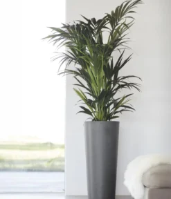 Ecopots Kunststoff-Topf Amsterdam hoch, rund
