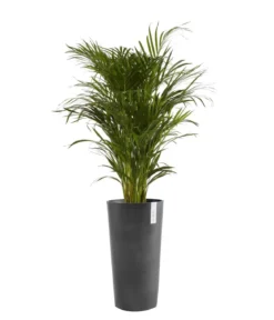 Ecopots Kunststoff-Topf Amsterdam hoch, rund
