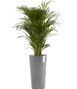 Ecopots Kunststoff-Topf Amsterdam hoch, rund