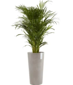 Ecopots Kunststoff-Topf Amsterdam hoch, rund