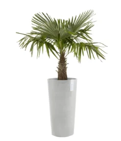 Ecopots Kunststoff-Topf Amsterdam hoch, rund