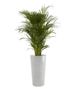 Ecopots Kunststoff-Topf Amsterdam hoch, rund