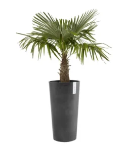 Ecopots Kunststoff-Topf Amsterdam hoch, rund
