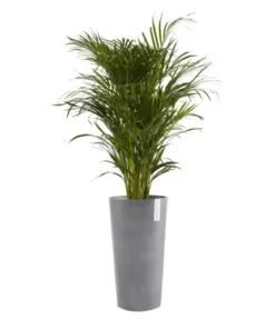 Ecopots Kunststoff-Topf Amsterdam hoch, rund