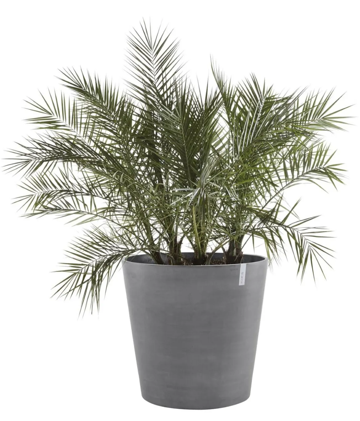 Ecopots Kunststoff-Topf Amsterdam mit Rollen, rund