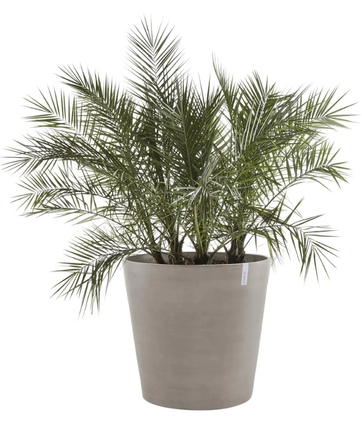 Ecopots Kunststoff-Topf Amsterdam mit Rollen, rund