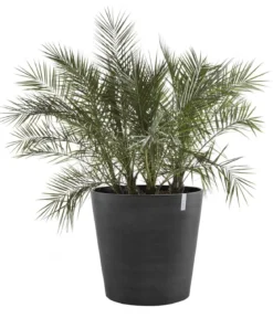 Ecopots Kunststoff-Topf Amsterdam mit Rollen, rund