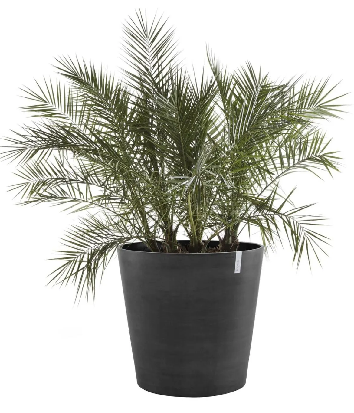 Ecopots Kunststoff-Topf Amsterdam mit Rollen, rund