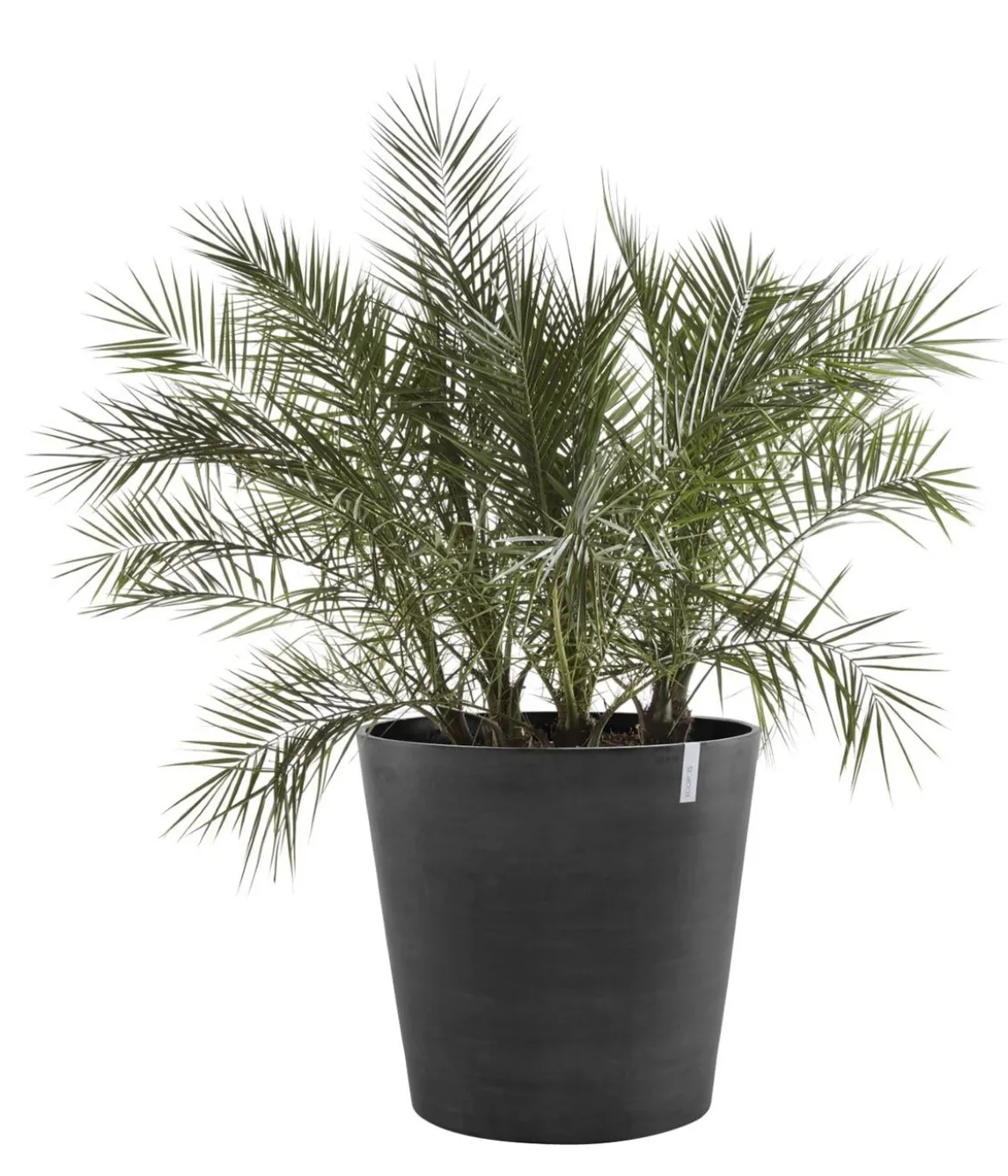 Ecopots Kunststoff-Topf Amsterdam mit Rollen, rund