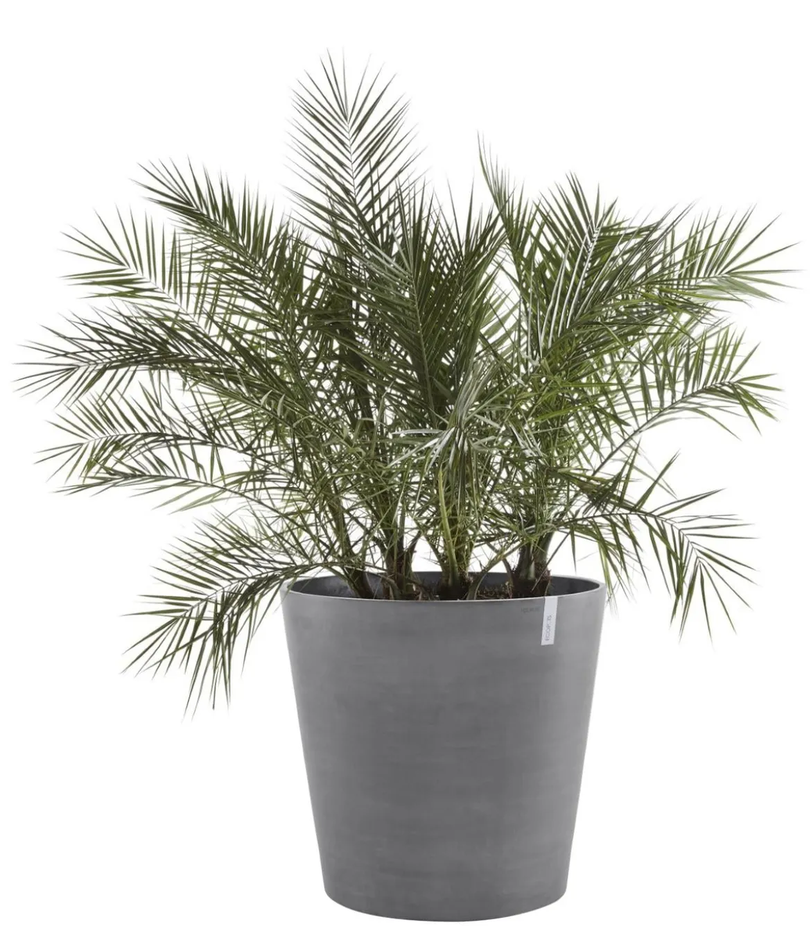 Ecopots Kunststoff-Topf Amsterdam mit Rollen, rund