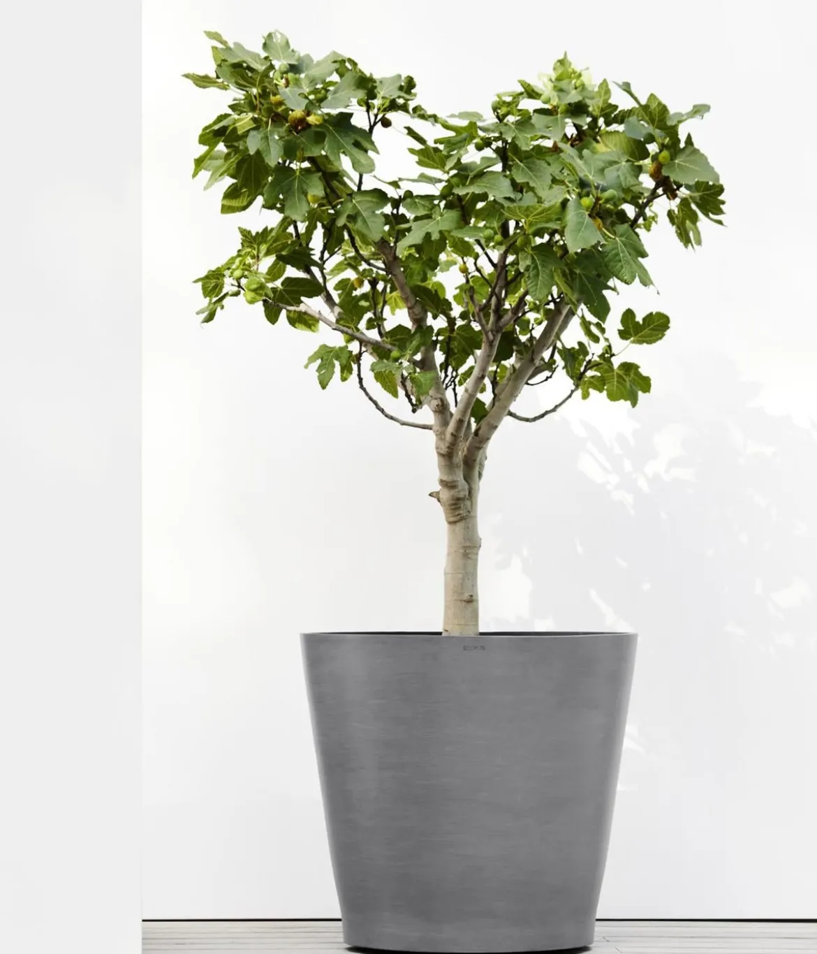 Ecopots Kunststoff-Topf Amsterdam mit Rollen, rund
